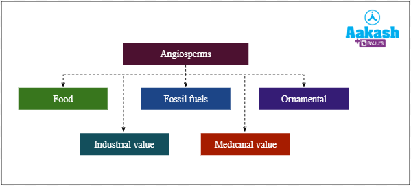 Economic importance of angiosperms  