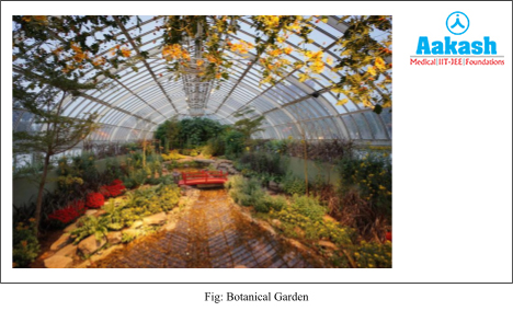 Botanical Garden diagram