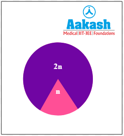 Diplontic life cycle