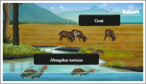 Interference competition diagram