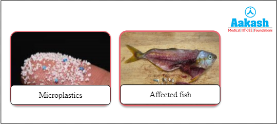 Microplastics and the fish affected by it