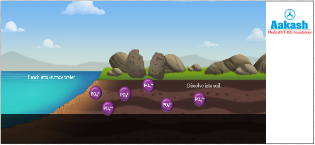 Phosphorus enters into aquatic environments