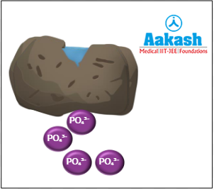 Release of phosphate ions during weathering of rocks