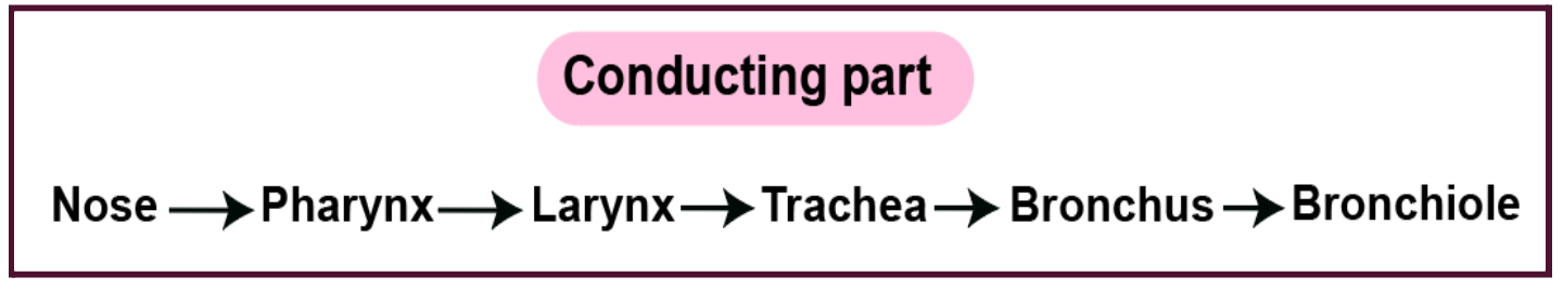conduucting-part
