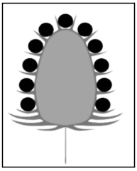 Screenshot 2025-12-17 162903.png