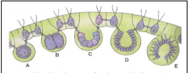 Screenshot 2025-12-23 122803_0.png 