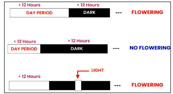 Screenshot 2025-12-23 175303.png 