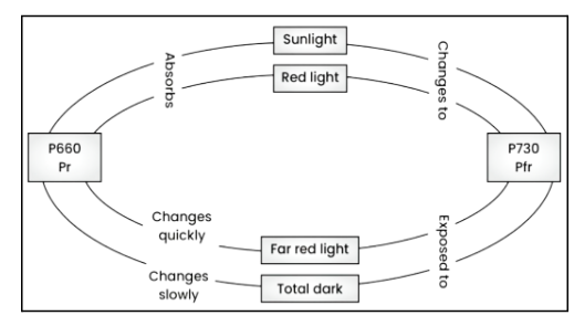 Screenshot 2025-12-23 175329.png 