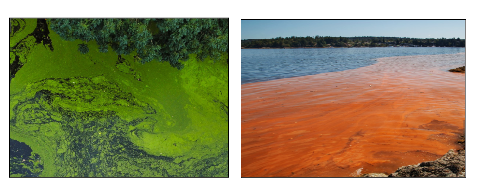 Screenshot 2025-12-24 131104.png