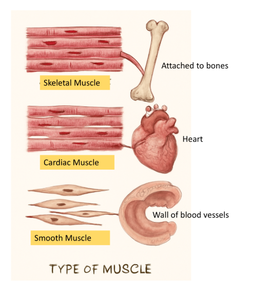 Screenshot 2025-12-27 111014.png 