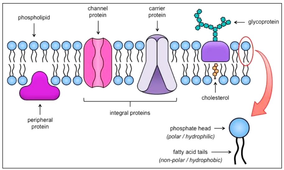 Screenshot 2025-12-29 113428.png 