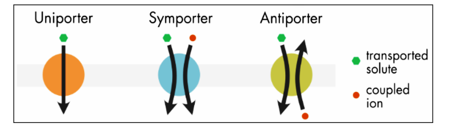 Screenshot 2025-12-29 113608.png 