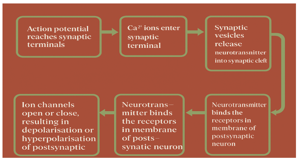  Screenshot 2025-12-29 122040.png 