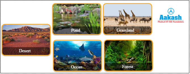 Standing state different in different types of ecosystems