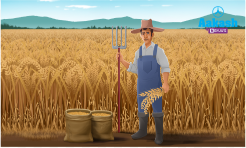 Traditional plant breeding