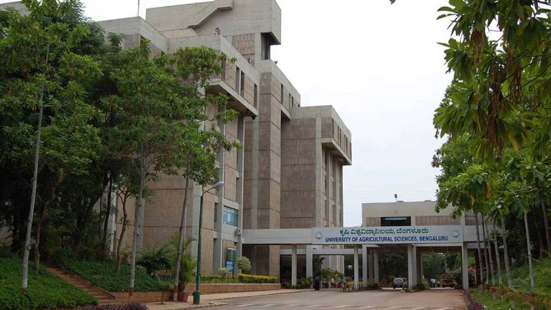 University of Agricultural