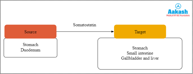 Somatostatin hormone