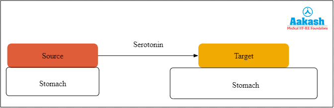 Serotonin hormone