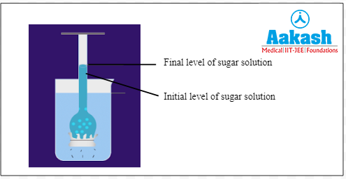 Final stage of thistle funnel experiment