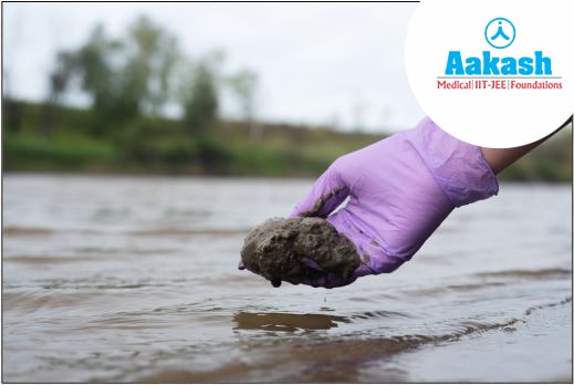 Silt deposition in water bodies