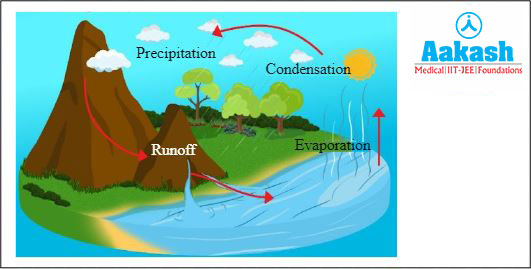 Water cycle