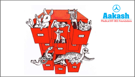 Classification of organisms