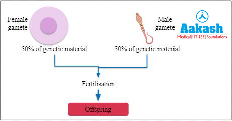 Fertilisation