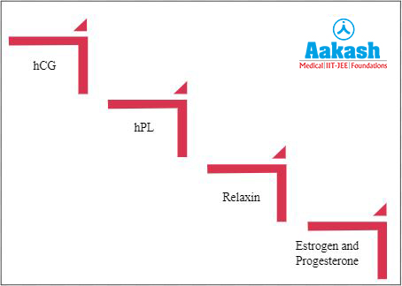 Hormones of placenta