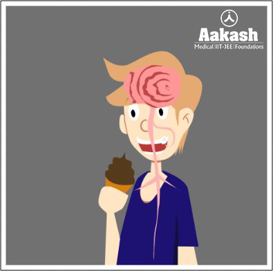 Path of teeth sensitivity while having ice cream