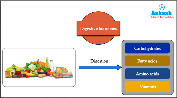 Digestion of food