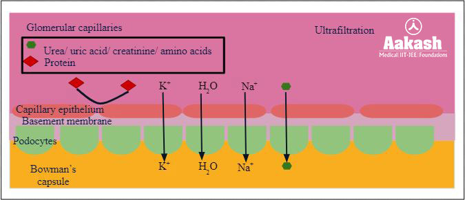 Process of Ultrafiltration