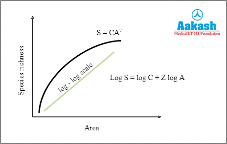 Area Relationships in log scale
