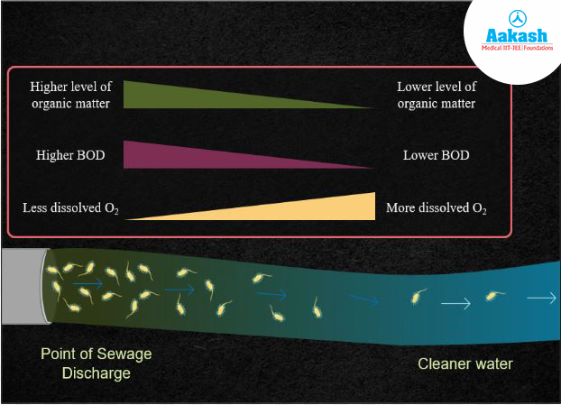 Concentration of dissolved oxygen reduces in water polluted with sewage