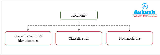 Steps of modern taxonomy