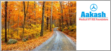 Temperate deciduous forest