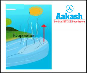 Evaporation