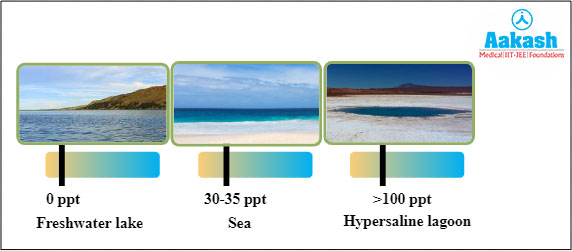 Salinity in different aquatic environments