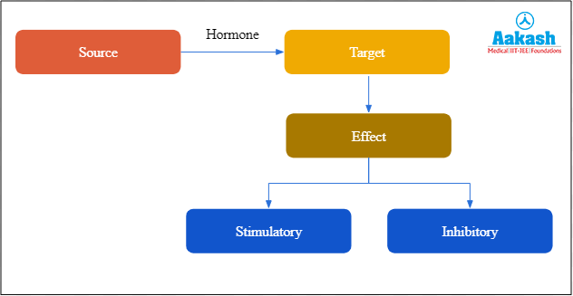 Action of hormones