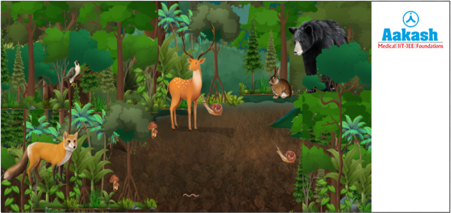 Varieties of species present deep in the forest