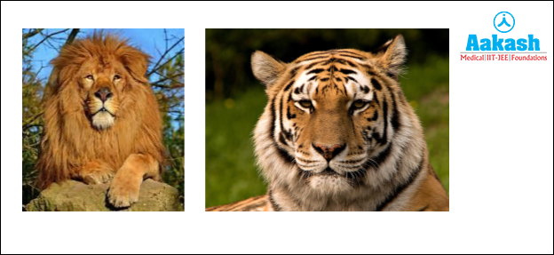 Genus with two different species