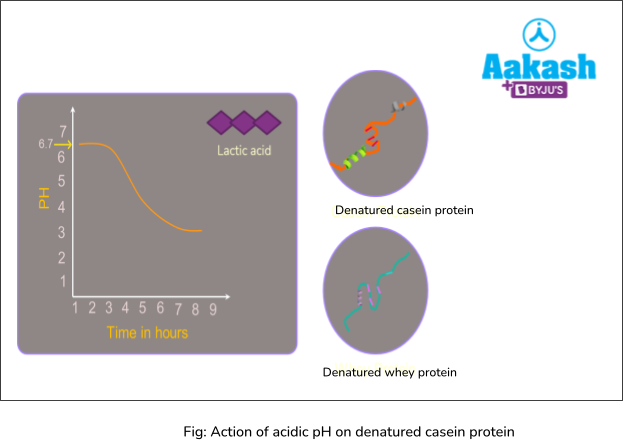 action of acidic ph