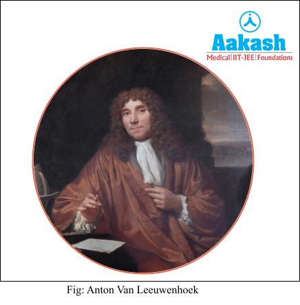 anton van leeuwenhoek