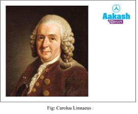 carolus linnacus