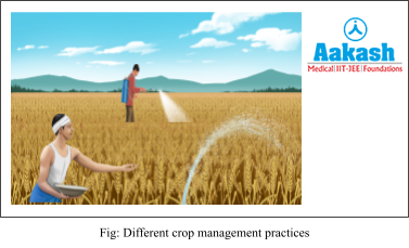 different crop managment practices
