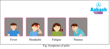 different types of pathogerms