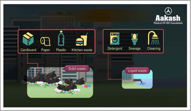 Domestic Water Pollutants