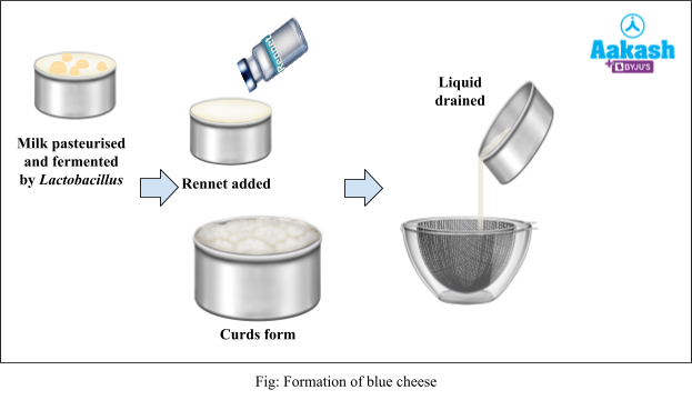 formation of blue cheese