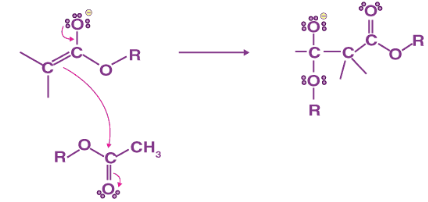 Resonance stabilised enolate anion