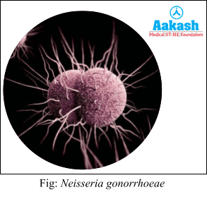 Neisseria Gonorrhoeae