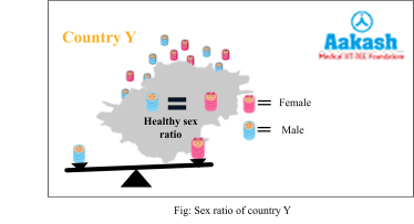 Sex ratio of country Y